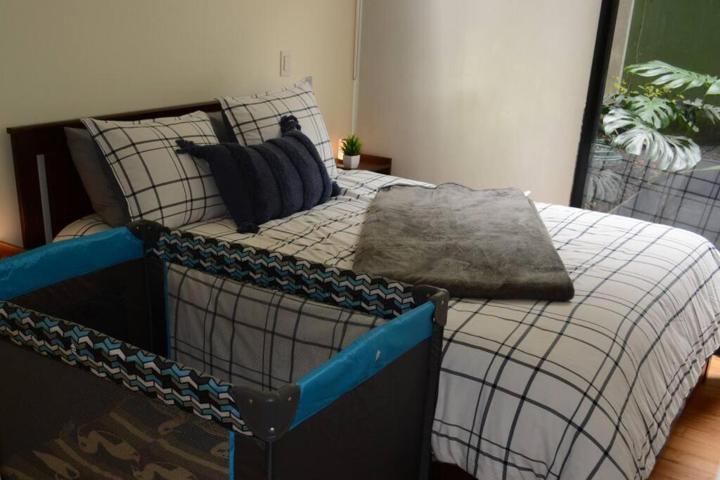 2br Haven In Napoles With Massive Terrace Appartamento Città del Messico